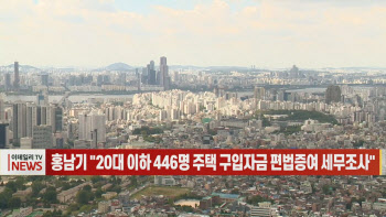  홍남기 "20대 이하 446명 주택 구입자금 편법증여 세무조사"