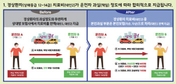 車 경상환자에 과실책임…"보험료 2만~3만원 절감효과"