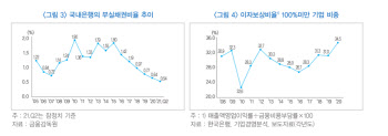 “국내 은행, 잠재리스크 커…작은 충격에도 부실화 가능성”