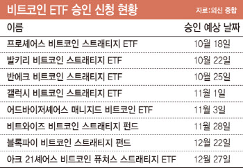 다시 치솟는 '비트코인'…'여윳돈'으로 사서 묻어둬라