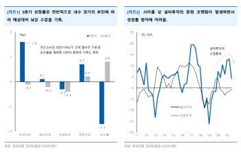 "3분기 GDP, 설비투자 증가세 둔화 주목"