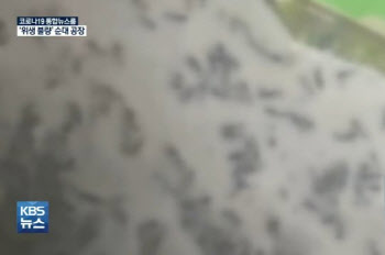 "순대 찜기 밑 벌레가 다닥다닥"…진성푸드 측 "억측이다"