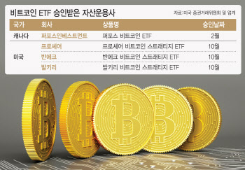 “비트코인 ETF가 孝子”…해외 자산운용사 ETF 신청 속속