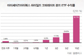 "외면받는 BBB급에 ETF를"