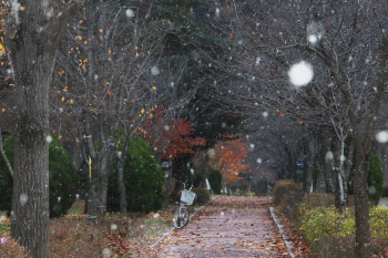 절기상 '소설(小雪)' 서울 등 수도권에 날리는 눈발