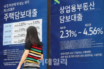 세입자 김씨, 전세대출 한숨 돌리자마자...정부 추가규제 칼 빼들어