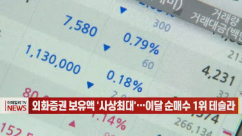 외화증권 보유액 `사상최대`…이달 순매수 1위 테슬라