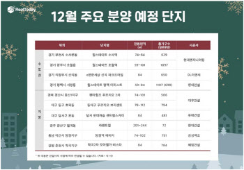 "대출규제전 막차타자"…'분양 비수기' 12월 큰 장 선다