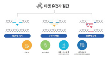 공모가 확 낮춘 `툴젠`…청약 기회?