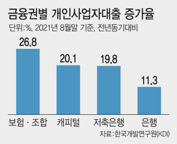 ‘커지는 풍선효과’...페이퍼컴퍼니까지 등장한 사업자대출 꼼수