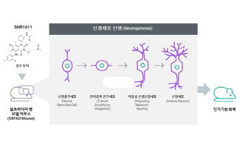  치매치료제, 떠오르는 샛별은?