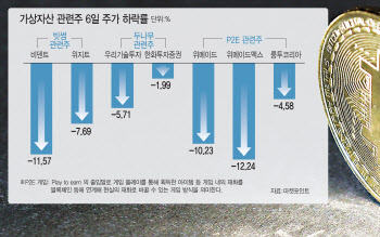 비트코인 흔들리자 P2E 게임株도 출렁…옥석가리기 본격화