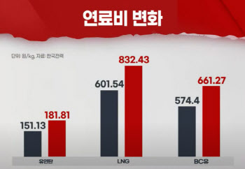 (영상)한전, 전기요금 동결하고 알짜 해외사업 줄이고…실적 '비상'