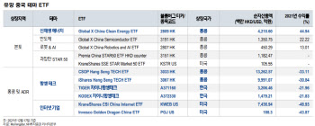 "내년 中ETF, 본토 제조업·가격 매력 높아진 인터넷 테마 주목"