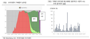 "남아공 오미크론 진정세, 봉쇄강화·경기둔화 우려 일부 해소"