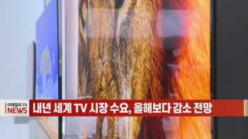 (영상)내년 세계 TV 시장 수요, 올해보다 감소 전망