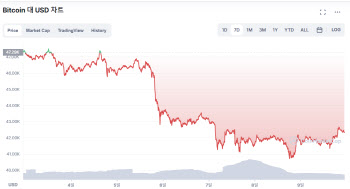 비트코인 갈림길…“다시 오를 것” Vs “4만불 붕괴”