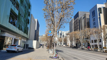 '명품 메카' 청담동 가보니..큰손 떠오른 MZ세대 매출 '껑충'