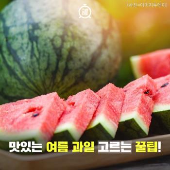  맛있는 여름 과일 고르는 꿀팁!