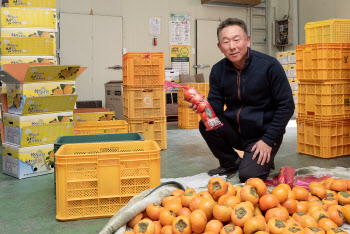 "알리는게 문제였는데"…지역 단감명인이 '전국구' 된 사연