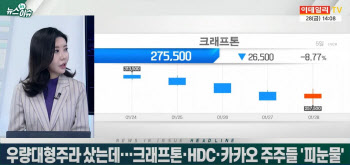 우량 대형주라더니…크래프톤·HDC·카카오 주주들 '곡소리'