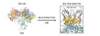 오미크론에도 효과..범용 코로나19 중화항체 개발