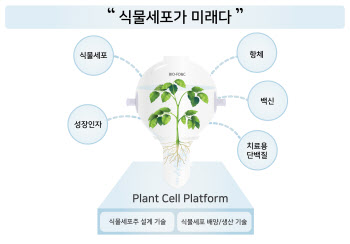 [바이오에프디엔씨 대해부]②빌게이츠재단도 주목한 ‘식물세포 플랫폼 기술’