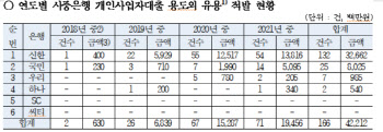 "개인사업자 대출 용도외 사용 단속 필요"