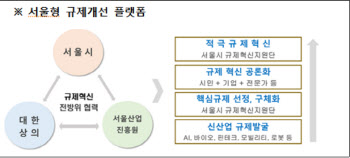 “기업하기 좋은 도시”…서울시 ‘규제개선 플랫폼’ 가동