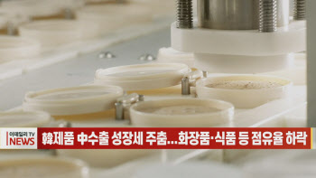 (영상)韓제품 中수출 성장세 주춤...화장품·식품 등 점유율 하락