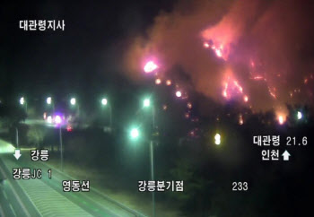 강릉·영월도 산불…대형 산불 우려