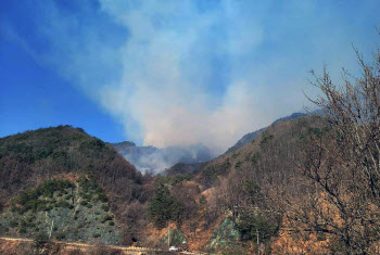 충남 당진·경기 안산 야산서도 산불…전국 곳곳 ‘화마’ 피해