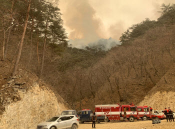 울진·강원산불, 역대 최대 피해 '눈앞'…당국, 장기화 태세 전환