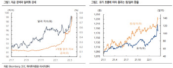 "이번주 FOMC·러시아 디폴트 위험, 달러화 추가 강세 요인"