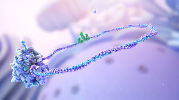 뉴클릭스바이오, 파멥신과 원형 mRNA 항체 치료제 만든다