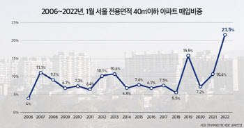 대출 막히자 '작은 아파트' 거래 쑥↑