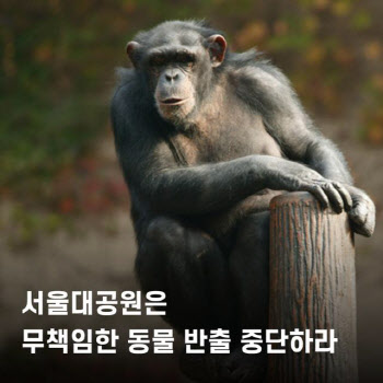서울대공원, 동물체험하는 동남아 사파리로 침팬지 반출 논란