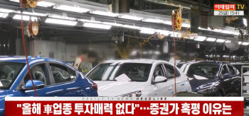 (영상)"올해 車업종 투자매력 없다"…증권가 혹평 이유는