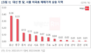대선후 한 달, 용산 아파트값 0.38% 상승…서울 12개 자치구 올라
