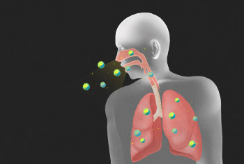 코로나 걸리면 폐 굳을 수 있다는데...폐에 좋은 음식은?