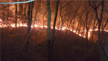 양구산불, 41시간만에 큰 불길 잡혀…산림 720㏊ 잿더미