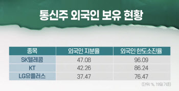 (영상)외국인 바구니에 통신주 '한가득'...이유는