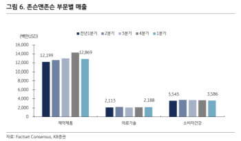 존슨앤존슨, 환손실에 시름…배당으로 주가 방어