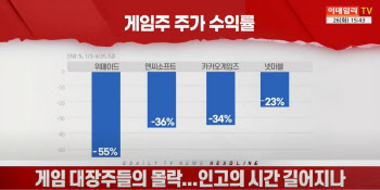 (영상)게임 대장주들의 몰락...인고의 시간 길어지나