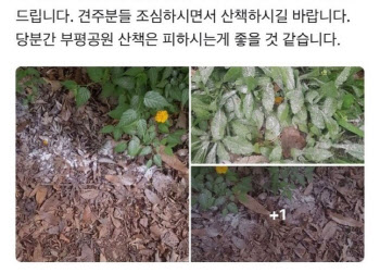 "강아지 4번 구토 후 쓰러져"…공원서 발견된 수상한 흰가루