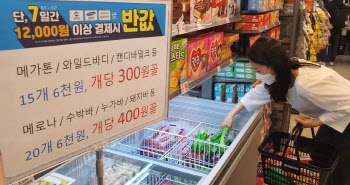 "메가톤·메로나 단돈 300·400원"…이마트24, 아이스크림 반값