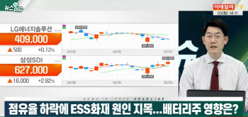 (영상)점유율 하락에 ESS화재 원인 지목...배터리주 영향은?