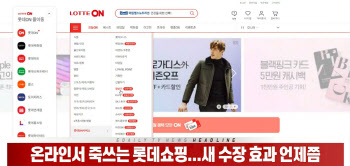 (영상)온라인서 고전하는 롯데쇼핑...새 수장 효과 언제쯤