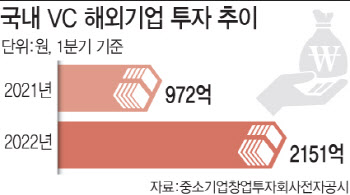 "동남아 예비유니콘 선점하자"…VC 해외투자 작년 2배