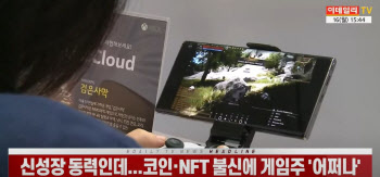 (영상)신성장 동력인데...코인·NFT 불신에 게임주 '어쩌나'